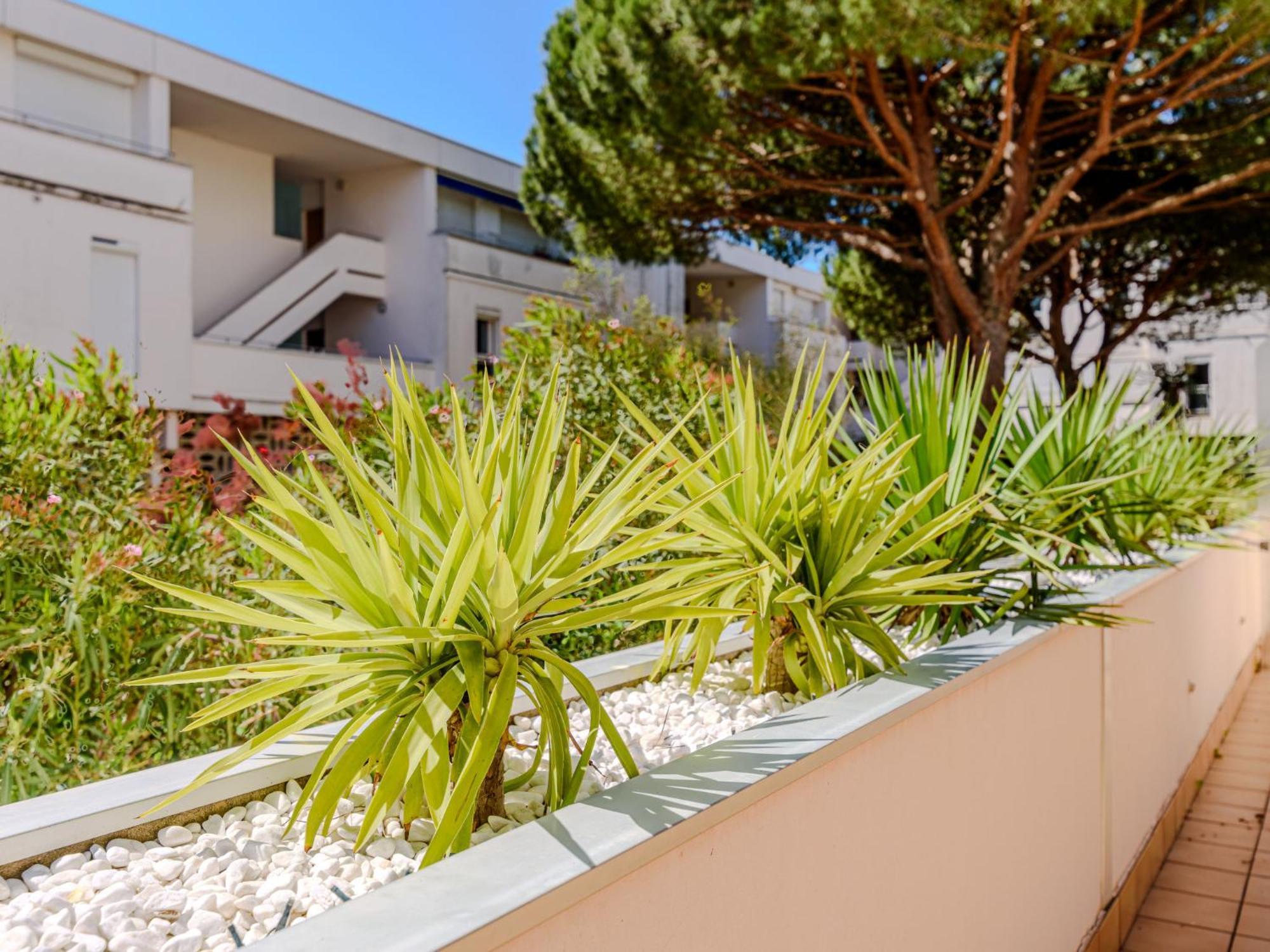Apartment Antinea-4 By Interhome ลา กร็องเดอ-ม็อต ภายนอก รูปภาพ